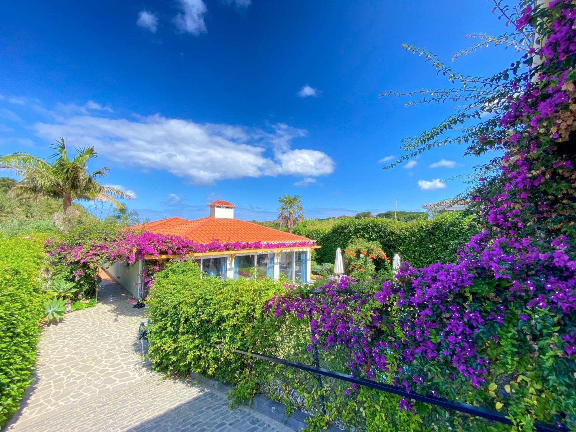 Terra Vivaz - Ribeira Cottage リベイラ・グランデ エクステリア 写真