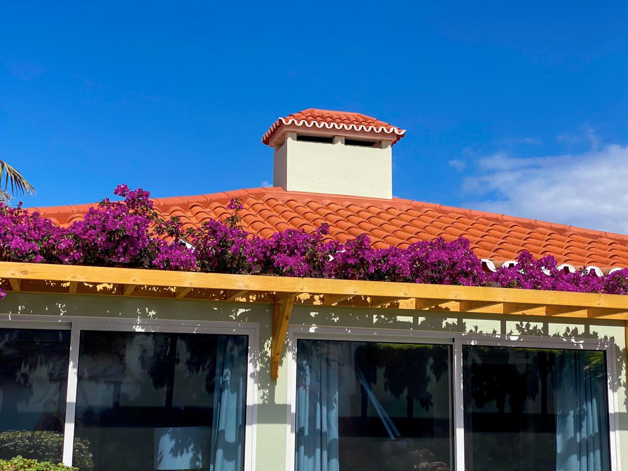 Terra Vivaz - Ribeira Cottage リベイラ・グランデ エクステリア 写真