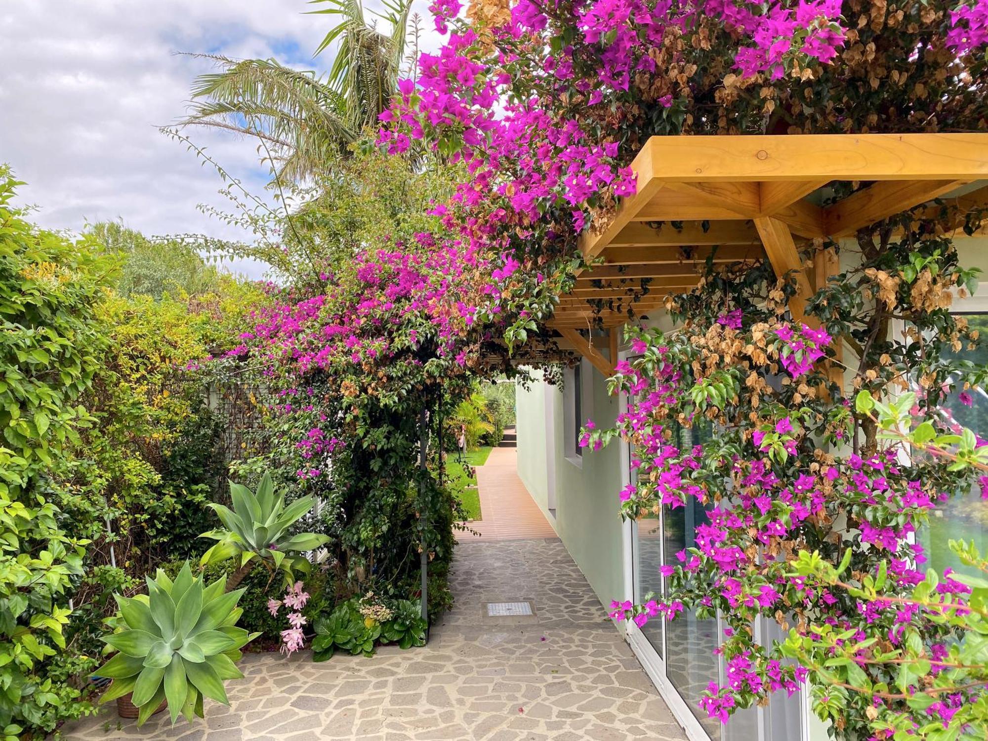 Terra Vivaz - Ribeira Cottage リベイラ・グランデ エクステリア 写真